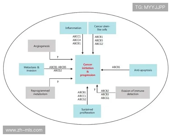 系统重构期内全链条安全评估体系建立 确保了赛事运营体系的高可靠运行